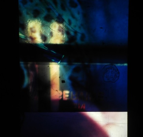 Fauve